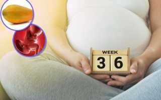 36 неделя беременности: что происходит с плодом и будущей мамой?