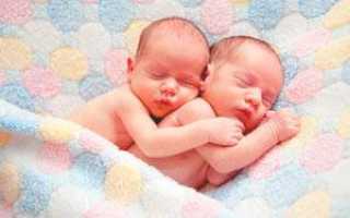 Особенности развития, воспитания двойняшек и близнецов консультация по теме