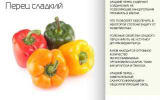 Можно ли кормящей маме свежий и фаршированный болгарский перец: польза сладкого овоща при грудном вскармливании