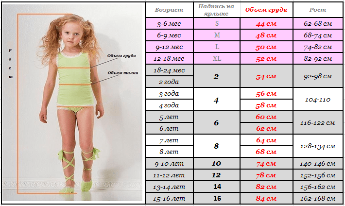 Какого размера должна быть детская. Размеры груди у лнврчек. Размер груди в 11 лет. Размер груди в 13 лет. Размер груди у девочек 12 лет.